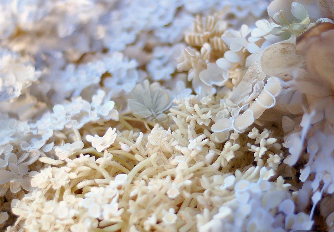 哥本哈根VS波尔多：文化传承、美食盛宴、自然景观与生活方式的对比