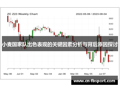 小麦国家队出色表现的关键因素分析与背后原因探讨